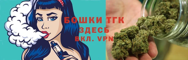 бошки Краснослободск