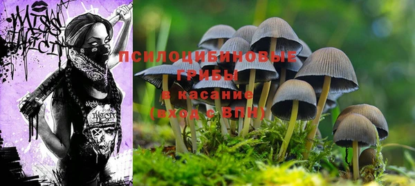 кокс Краснотурьинск